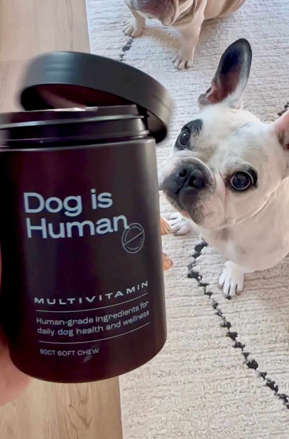Dog is Human DM-01™ Daily Multivitamin Dog is Human