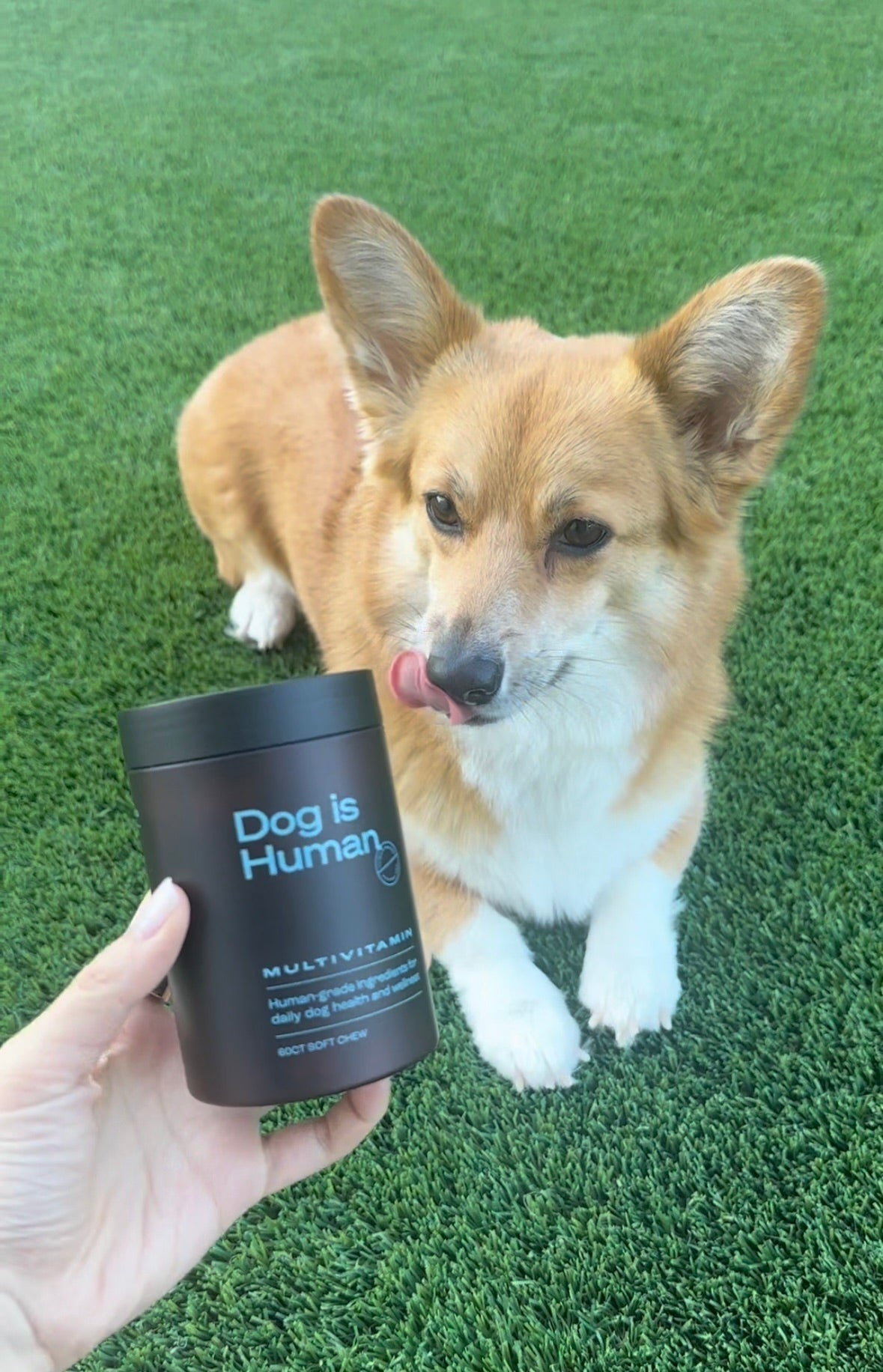 Dog is Human DM-01™ Daily Multivitamin Dog is Human