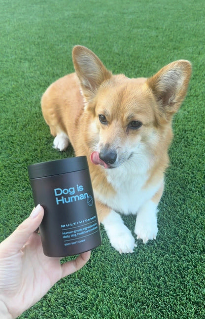 Dog is Human DM-01™ Daily Multivitamin Dog is Human
